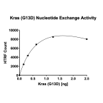 Kras G13D Nucleotide Exchange Assay Kit 